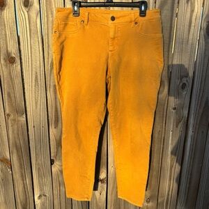 Maurices Women’s Golden Yellow Jeggings Size Large Short